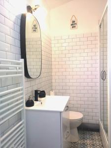une salle de bain avec un lavabo, des toilettes et un miroir dans l'établissement Le Petit Réaumur - Coeur de ville, à La Rochelle