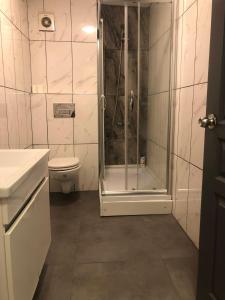 a bathroom with a shower and a toilet at Alsama Apart No 149 in Istanbul