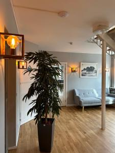 VISIONHOUSE Hotel في فريديريكسوند: غرفة معيشة مع أريكة ونبات الفخار