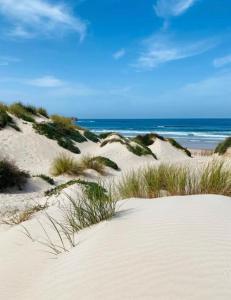 a group of sand dunes with the ocean in the background at Beach Apt Bica-AC/Heating+Terraces & Pool-3 bdr in Ferrel