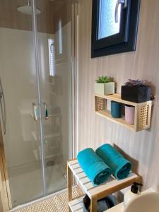 een badkamer met een douche en blauwe handdoeken op een plank bij Coté Dune in Le Crotoy