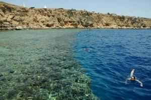 a person swimming in the water near a beach at Dreams Vacation Resort - Sharm El Sheikh in Sharm El Sheikh