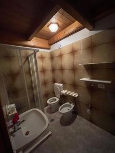 a bathroom with a toilet and a sink at Casa Streberi in Castelfondo