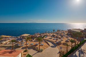 una playa con sillas, palmeras y el océano en Dreams Vacation Resort - Sharm El Sheikh en Sharm El Sheikh