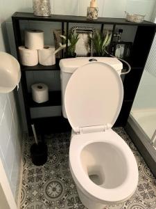 a bathroom with a toilet with a shelf with toilet paper at Knus buitenhuisje aan de Veluwe in Putten