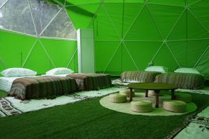 Habitación verde con 4 camas y mesa en iGo Glamz 爱狗露营 Pet Friendly Glamping en Genting Highlands