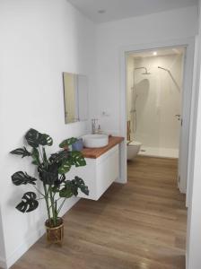 baño con lavabo, aseo y planta en Apartamentos turísticos Demar en O Grove