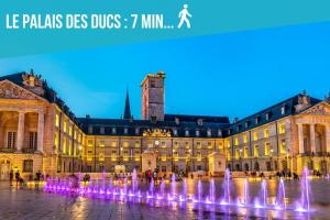 ディジョンにあるLe Courbet Topdestination-dijon - Centre ville - Classé 3 étoilesの噴水のある大きな建物