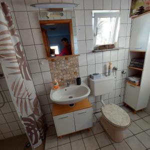 ein kleines Bad mit einem Waschbecken und einem WC in der Unterkunft Jäger-Lodge in Lócs