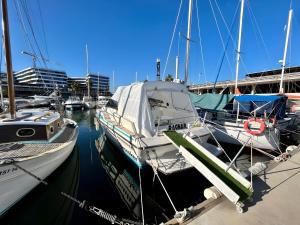 un groupe de bateaux est amarré dans un port de plaisance dans l'établissement Cozy private two rooms yacht in Barcelona - boat in Port Forum, à Barcelone