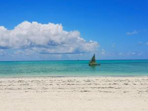 a sail boat in the water on a beach at SBH Monica Zanzibar in Paje