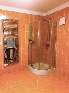 波傑布拉迪的住宿－Relaxace v blízkosti Poděbrad - Kanín，浴室设有淋浴,铺有橙色瓷砖
