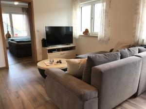 ein Wohnzimmer mit einem Sofa und einem TV in der Unterkunft Appartementhaus Angelika in Nittenau