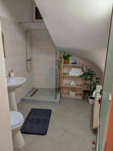 a bathroom with a shower and a toilet and a sink at InTown in Constanţa +5 photos
