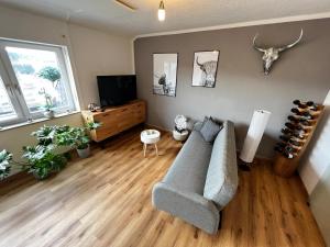 ein Wohnzimmer mit einem Sofa und einem TV in der Unterkunft Auszeit-Winterberg in Winterberg