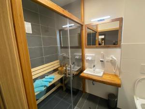a bathroom with a sink and a shower at Alpenhotel & Aparthotel Lanz in Hohentauern