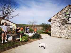 Domáce zviera alebo zvieratá hostí v ubytovaní Gîte au coeur du vignoble de Cahors, 5 chambres