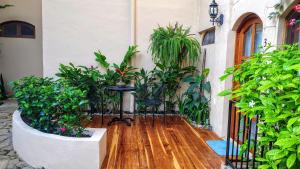 Boutique Hotel Secret Garden Granada外面的花园
