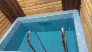 a swimming pool with a shark in the water at Camelot hotel in Bishkek