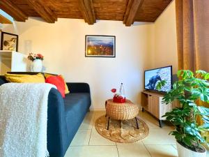ein Wohnzimmer mit einem blauen Sofa und einem TV in der Unterkunft Le petit Châtaignier - Cozy Immo in Châtenois