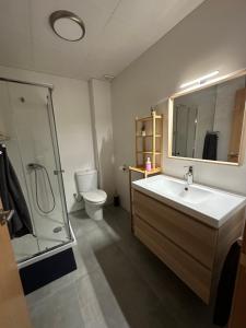 a bathroom with a sink and a shower and a toilet at Apartamento tipo loft valencia in Paiporta