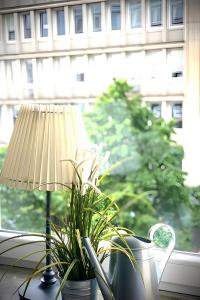 eine Lampe, die auf einer Fensterscheibe neben einer Pflanze sitzt in der Unterkunft Check-in Hamburg in Hamburg