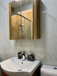 a bathroom with a sink and a mirror and a toilet at Luxury City Center Apartment in Skopje