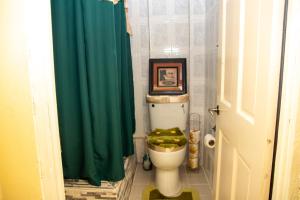 a bathroom with a toilet with a green shower curtain at PRI Guest House in Arnos Vale