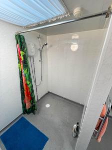 Bathroom sa 5 Star Shepherds Hut in Betws y Coed with Mountain View