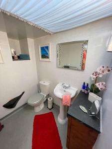 a bathroom with a toilet and a sink and a mirror at 5 Star Shepherds Hut in Betws y Coed with Mountain View in Capel Curig