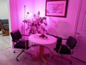 Healing Touch Holistic Living Space في أمهرست: غرفة وردية مع طاولة مع كراسي وقطة عليها