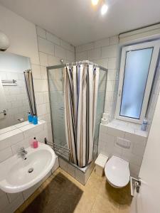 La salle de bains est pourvue d'un lavabo, d'une douche et de toilettes. dans l'établissement Apartments Thommen, à Nuremberg