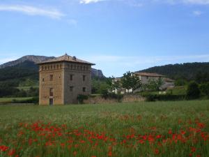 a field of red flowers in front of a building at Masia Del Aragones in Peñarroya de Tastavins