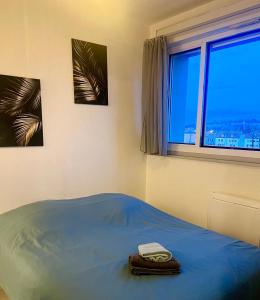 a bedroom with a blue bed with a window at Cocon Accès facile Parking Gratuit in Belfort