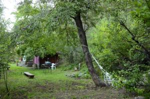 un albero con una corda legata in un cortile di Cabaña Las Tejas a El Bolsón