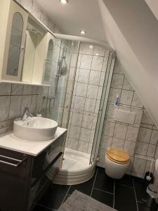 a bathroom with a shower and a toilet and a sink at Häuschen zentral gelegen in Detmold +8 photos
