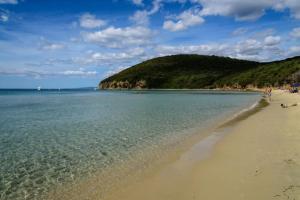 a beach with the ocean and a hill in the background at Bilocale moderno 4 posti vicino al mare in Scarlino