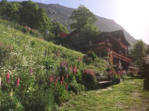 a house with flowers on the side of a hill at Le p'tit coin montagne in Bonneval-sur-Arc