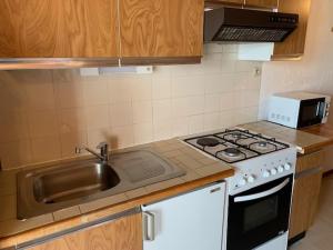 a kitchen with a sink and a stove top oven at Le p'tit coin montagne in Bonneval-sur-Arc