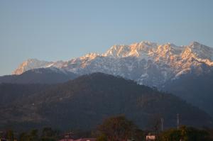 Afbeelding uit fotogalerij van HIMALAYA INN in Pālampur