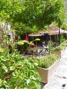 un patio con mesas, sillas, árboles y plantas en Hôtel Restaurant des Voyageurs, en Nant