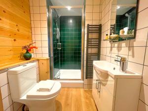 a bathroom with a toilet and a shower and a sink at High Parks in Bedale