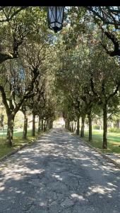 een met bomen omzoomde weg met een straatlicht in een park bij Camilluccia in Rome