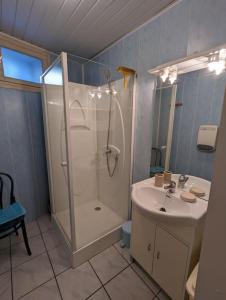 Koupelna v ubytování Gîte Elisa