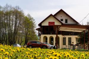 een huis met een veld gele bloemen ervoor bij Complex Zimbru in Nemţişor