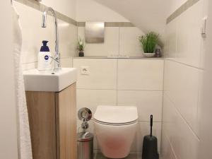 Ένα μπάνιο στο Ferienwohnung Am Eiberg +18 φωτογραφίες
