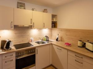 Η κουζίνα ή μικρή κουζίνα στο Ferienwohnung in Triberg am Waldrand - idyllisch, ruhig, erholsam
