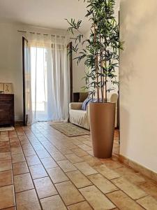 Appartement Margherite in Montegridolfo في مونتيغريدولفو: غرفة معيشة مع نبات خزاف كبير على الأرض