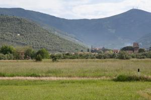 a field of grass with a mountain in the background at Agriturismo Villa Rosselmini in Calci