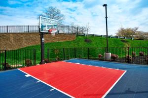 een basketbalring met een rode mat op een veld bij Residence Inn by Marriott Lynchburg in Lynchburg